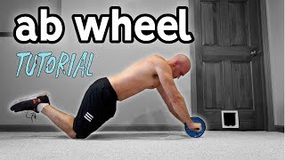 Ab Wheel For Beginners  Rollout Progression and Extra Exercises [upl. by Ystap]