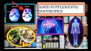 ADHD Supplements and Nootropics [upl. by Janean]