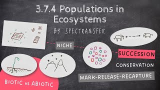 EASY REVISION AQA ALevel Biology 374 Populations in Ecosystems [upl. by Alcinia386]