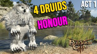 4 Druids VS Honour Mode Act 1  BG3 [upl. by Ordnael]