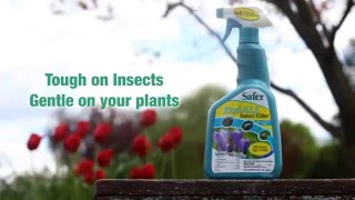 Safer® Brand Organic End ALL™ With Neem Oil Insect Killer [upl. by Mirabel]