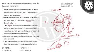 Read the following statements and find out the incorrect statements\n\nEach testicular lobule c [upl. by Glassman]