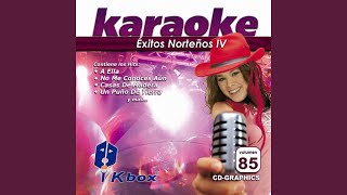 El Palomito Karaoke Version [upl. by Griswold]