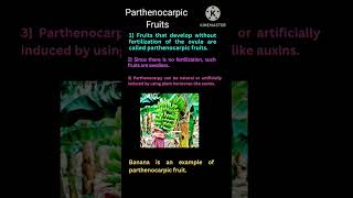 Parthenocarpic Fruit ytshorts tgtpgtexam medicaltet [upl. by Aiuqcaj]