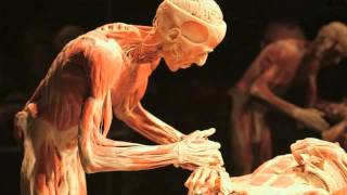 Gunther von Hagens BODY WORLDS Vital at Life Science Centre Newcastle UK [upl. by Fabozzi]