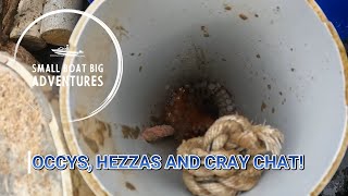 Occys Hezzas and Crayfish chats [upl. by Isle613]