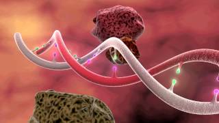 DNA Mutation 3D Animation [upl. by Marienthal]