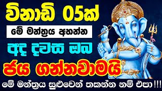 Shree Ganesha Mantra  මහා ගණපති මන්ත්‍රය  om gan ganpataye namo namah jai ganesh jai ganesh deva [upl. by Ennazor615]