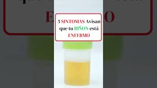 5 SINTOMAS Avisan que tu RIÑON está ENFERMO shortsvideo [upl. by Enyawud]