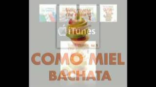 COMO MIEL Bachata  LITALIA CHE BALLA Vol 5  La Musica Da Ballo allItaliana [upl. by Nosylla917]