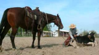 Ranch roping one man steer doctoring [upl. by Kaleb]