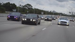 MUSTANGS TAKE OVER HIGHWAY [upl. by Ashjian626]