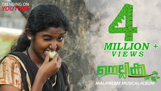 NELLIKKAMALAYALAM MUSICAL ALBUM 2019A GOOSEBERRY LOVE [upl. by Ynohtna693]