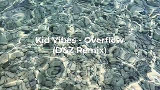 KID VIBES  OVERFLOW DampZ REMIX [upl. by Trub332]