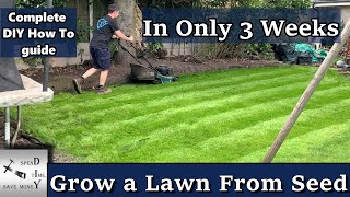 How to grow a new lawn from seed in only 3 weeks [upl. by Ened]