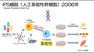 56高校生物「幹細胞」2022 [upl. by Hbaruas]