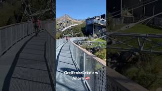 Greifenbrücke am Ahorn mayrhofen zillertal brücke [upl. by Latoyia]