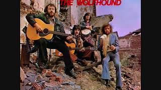 The Wolfhound Ray McAreavey  Freedom Sons  Full Album  Irish Rebel [upl. by Nnyltiak]