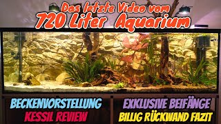 Das letzte Video vom 720 Liter Amazonas Aquarium Beckenvorstellung  Fazit BilligRückwand [upl. by Reprah]