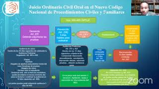 Procedencia del juicio ordinario civil oral y del juicio ejecutivo civil oral [upl. by Hawkie41]