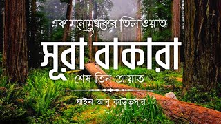 অত্যন্ত মনোমুগ্ধকর কন্ঠে┇সূরা বাকারার শেষ তিন আয়াত┇Surah bakarar last 3 ayat Presented by Al bayaan [upl. by Holub]