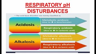 Respiratory Acidosis and Alkalosis  Respiratory pH Disturbances [upl. by Aretha]