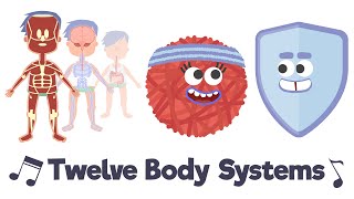 Twelve Body Systems Song [upl. by Lebana]