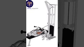 Best Dola Exercise In Biceps viral ytshort biceps exercise fitnessvloger2003 [upl. by Fradin]