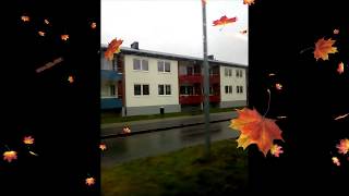 Älmhult Buss video åker  stadsbuss nr 1 snålskjutsen [upl. by Oilejor438]