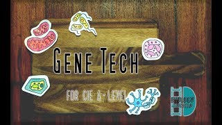 ALevel Biology  Gene Technology  Recombinant DNA [upl. by Asiram]