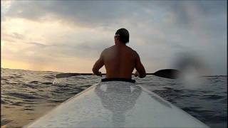 HUMPBACKS Whales Paddling  Kona 13012 on my V10 [upl. by Beckerman716]