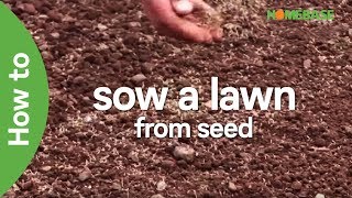 How To Sow A Lawn From Seed  EASY Steps To Grow A Lawn From Seed  Garden Ideas amp Tips  Homebase [upl. by Eisset]