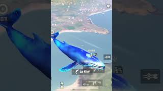 flying Fish 🐟😲bgmi shortvideo pubgmobile rishuislive [upl. by Yrellih]