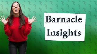 What are 4 facts about barnacles [upl. by Nagap]