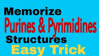 Purine amp Pyrimidine Structures  Easy way to memorize [upl. by Darum]