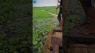 Boat Fishing Video 2024 part 132shortsshortvideo viral viralvideo fishing fishboatfishing [upl. by Marrin794]