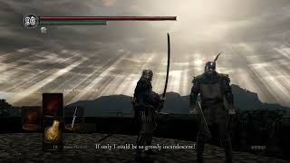 Dark Souls 1 Remastered  Killing Solaire of Astora and Hellkite Wyvern NG [upl. by Ediva]