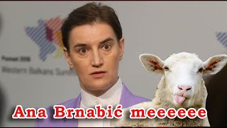 Ana Brnabic me meee xD [upl. by Ottie739]