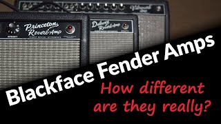 The Fender Blackface Sound Princeton Reverb vs Deluxe Reverb vs Vibroverb [upl. by Kilah]