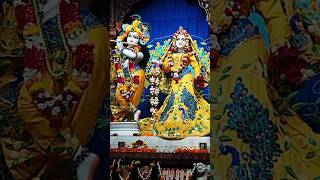 Radha Madhav 🙏 Darshan  10Sept2024 shortfeed  iskconrohini [upl. by Enuj]