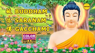 BUDDHAM SARANAM GACCHAMI  皈依佛  BUDDHIST MUSIC VIDEO [upl. by Hsizan]