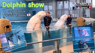 Beluga Dolphin Night Show at Yokohama Hakkeijima Sea Paradise  LIGHTIA  【4K】 [upl. by Ponzo]