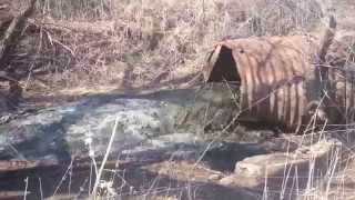 Extreme Beaver Dam Destroying [upl. by Raviv]