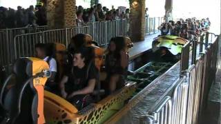 Cheetah Hunt at Busch Gardens Tampa [upl. by Akinhoj]