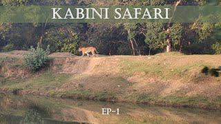 Kabini Safari  Tiger Sighting  EP  1 [upl. by Kauffman]