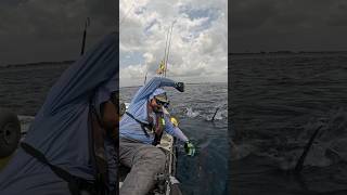 Foul hooked Sailfish dragged us for hours kayakfishing hobiefishing florida sailfish fishing [upl. by Eninnaj16]