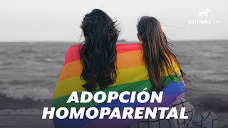 Adopción homoparental en México requisitos y dificultades [upl. by Ragucci]