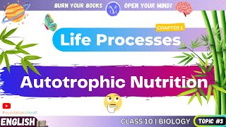 What is Autotrophic Nutrition  English  Class 10  Science  Biology  Chapter 1  Life Process [upl. by Aimat]