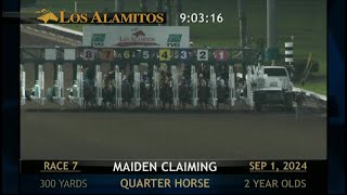 Los Alamitos Replays  Sunday September 01 2024  Race 7 [upl. by Baily]