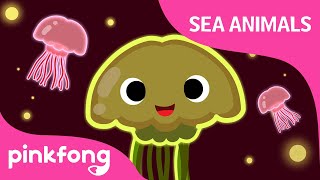 Wibble wobble Jellyfish  Sea Animal Songs  Animal Songs  Pinkfong Songs for Children [upl. by Giess956]